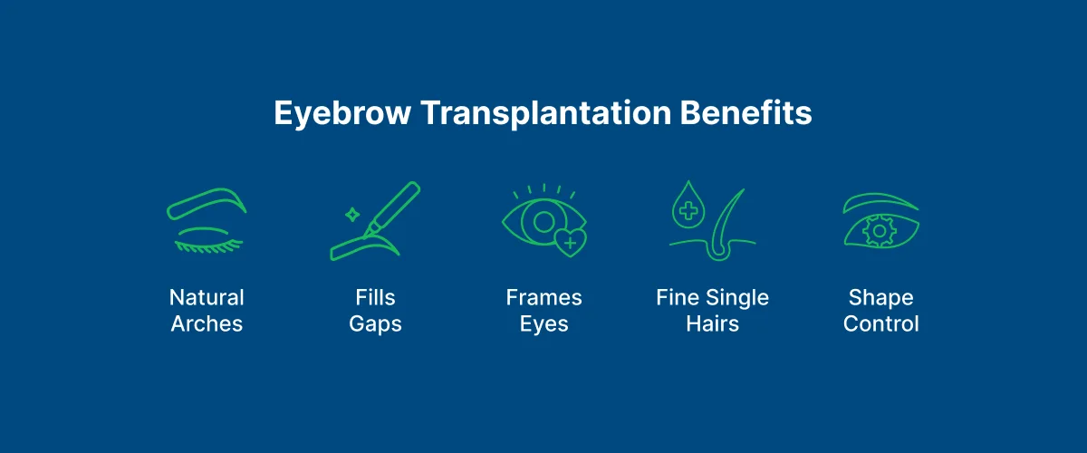 Eyebrow Transplantation 