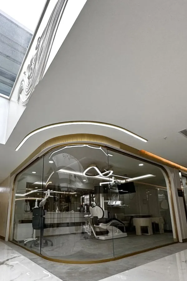 Estetik International