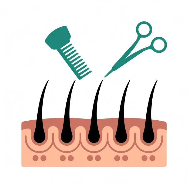 Shaven Hair Transplantation
