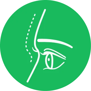 Пластическая хирургия icon